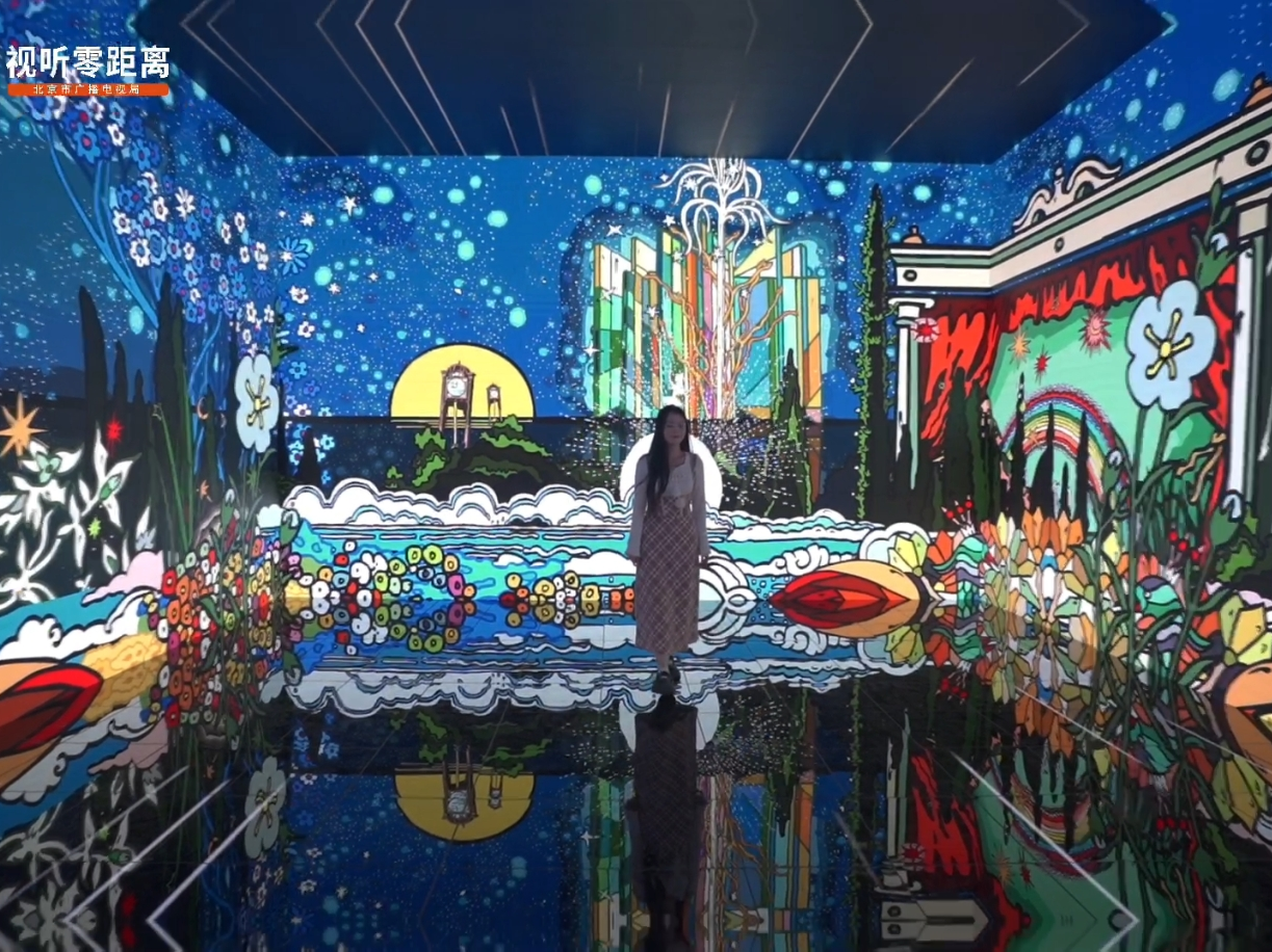 17295612567000862941223_917