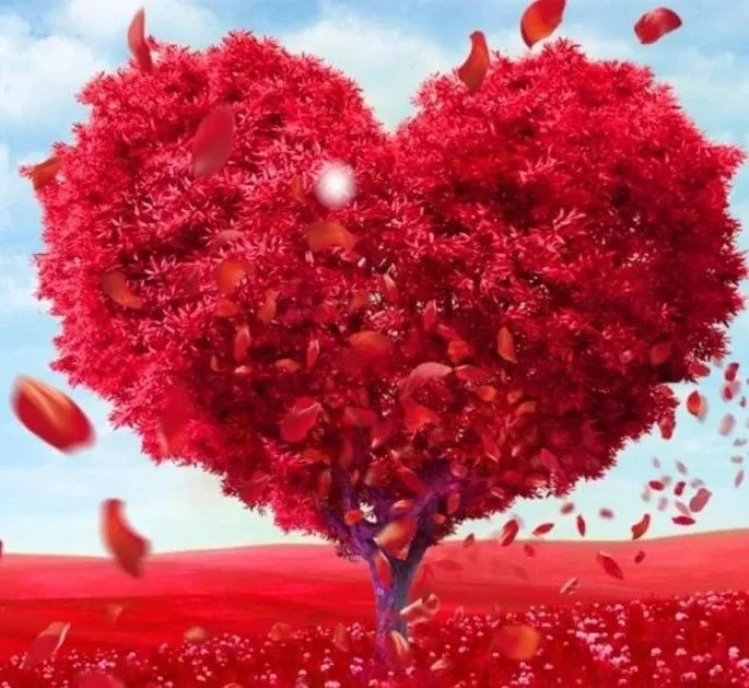 0?wx_fmt=jpeg&amp;from=appmsg