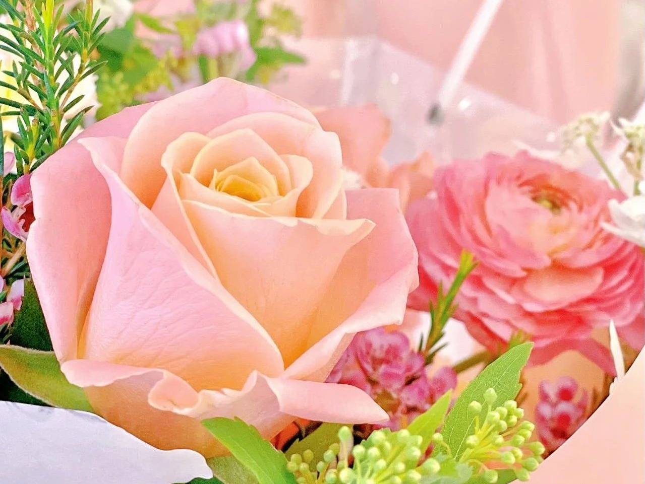 17421907758360717821280_961