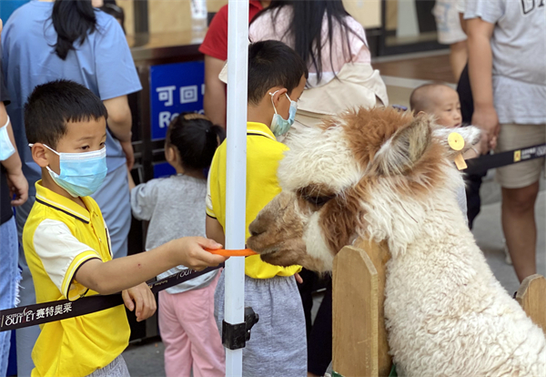 首页| 4002cc永利集团中国区官方网站