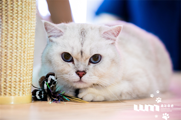 首页| 4002cc永利集团中国区官方网站