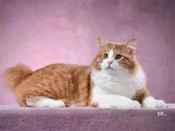 首页| 4002cc永利集团中国区官方网站