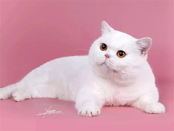 首页| 4002cc永利集团中国区官方网站