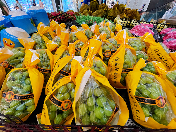 首页| 4002cc永利集团中国区官方网站