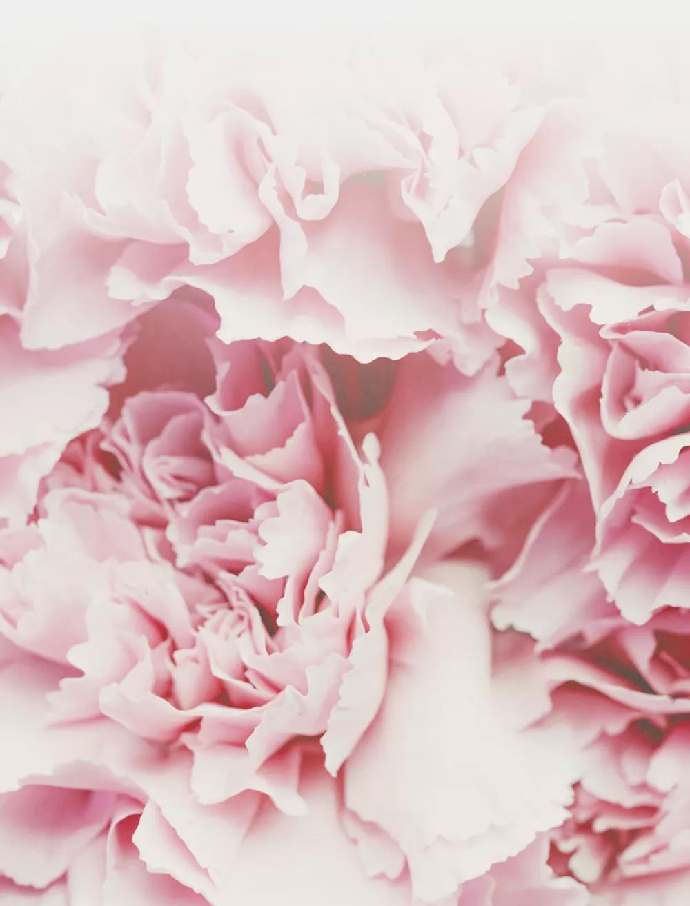 首页| 4002cc永利集团中国区官方网站