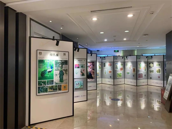 首页| 4002cc永利集团中国区官方网站