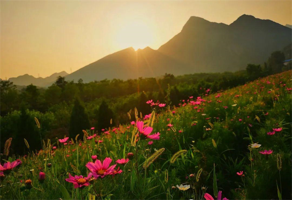 首页| 4002cc永利集团中国区官方网站