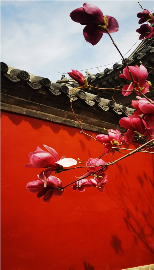 首页| 4002cc永利集团中国区官方网站