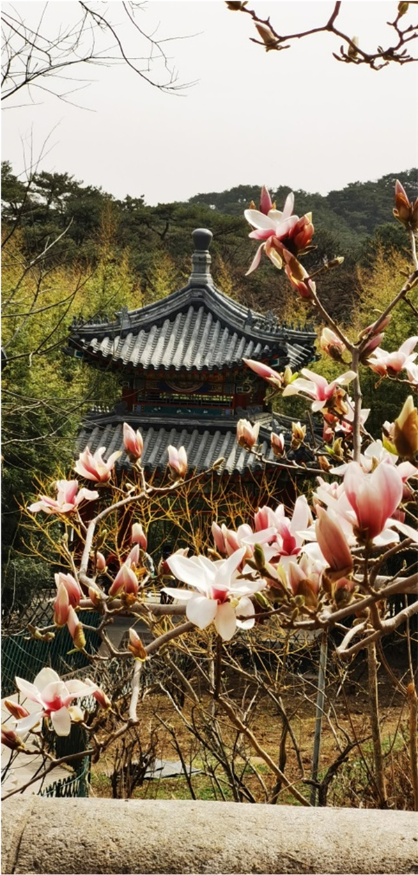 首页| 4002cc永利集团中国区官方网站