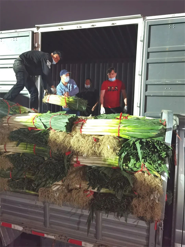 首页| 4002cc永利集团中国区官方网站